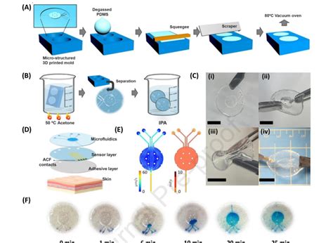 Fabrication And Characterization Of Microfluidics A B Pdms