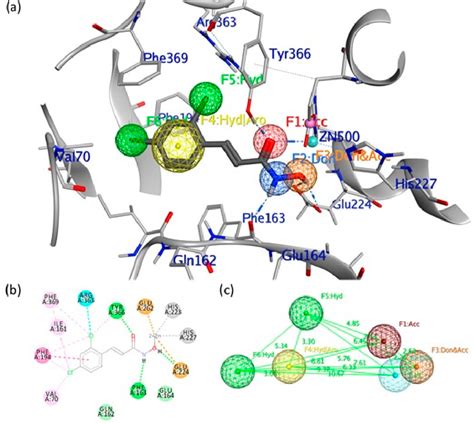 Figure 1 From An Integrated Pharmacophore Docking 3D QSAR Approach To