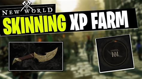 NEW WORLD BEST SKINNING XP FARM YouTube