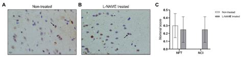 Proteomics And Metabolomics In Biomedicine