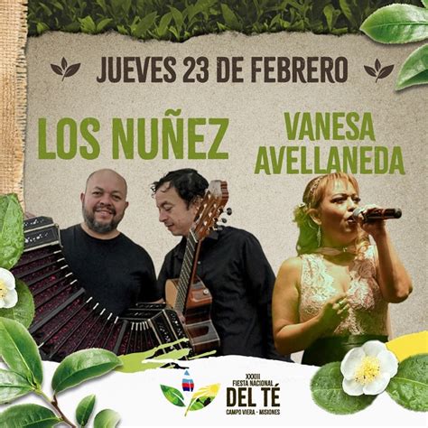 Viví la XXXIII Fiesta Nacional del Té en Campo Viera provincia de