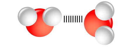 Liquids And Solids Ch Flashcards Quizlet Clip Art Library