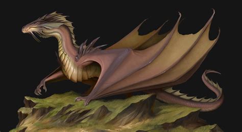 Wyvern by TatianaMakeeva on DeviantArt