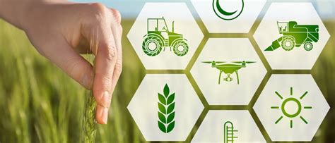 Ii Edición Del Curso Nuevas Tecnologías Para La Agricultura De