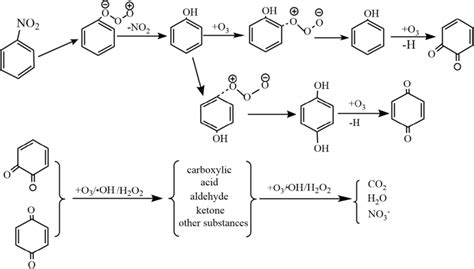 Proposed Pathways Of Direct Oxidation Degradation By O3 Download Scientific Diagram