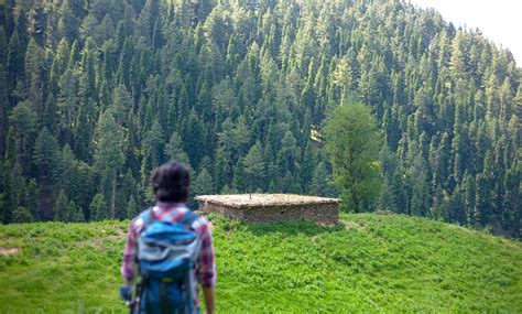 Safargo Banda The Hidden Summer Pastures Of Malamjabba TariQ SiddiQ