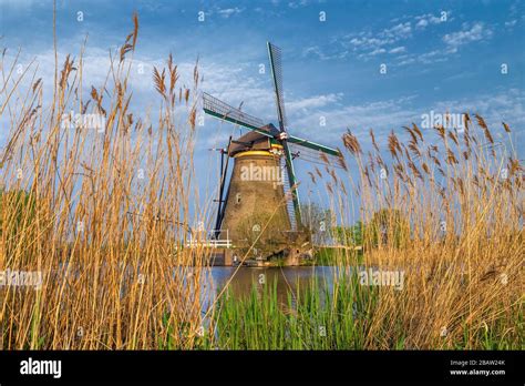 Traditional Dutch Windmills At The Unesco World Heritage Site In