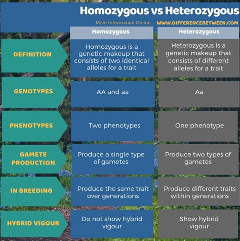 Difference Between Homozygous And Heterozygous Compare The Difference Between Similar Terms