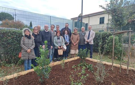 Al Via Alla Scuola Di Ulignano San Gimignano Il Bosco Didattico