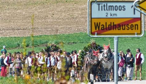 Ovb Heimatzeitungen In Waldhausen Wird Der Maibaum Aufgestellt