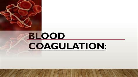 SOLUTION: Blood coagulation and coagulation factors - Studypool