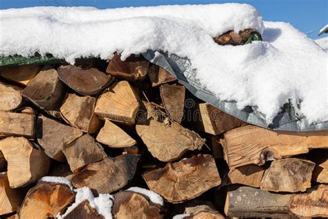 Snow Covered Firewood Stack Of Wood Cut Snow On The Timber Stack