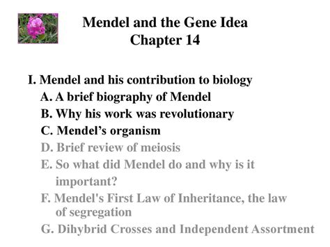 Chapter Mendel And The Gene Idea