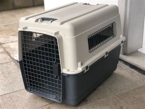 Hunde Transportbox Kaufen Auf Ricardo