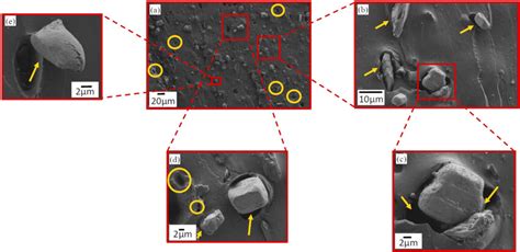 SEM Micrographs Of Fracture Surface Of Elastomer APP Composite At 2 8