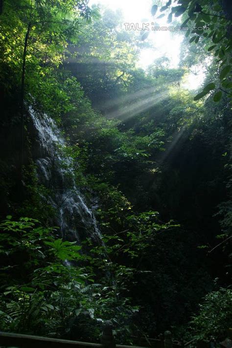 无人竖图室外白天仰视旅游度假石头美景瀑布森林树林水峡谷植物中国亚洲阴影飞溅梦幻溅发光光束光线