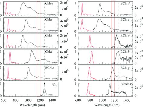 Fluorescence Red And Phosphorescence Black Emission Spectra The