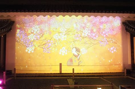 Naked桜まつり 2024 世界遺産・二条城｜京都でアートなお花見を楽しむライトアップイベント ビリオンログ Billion Log