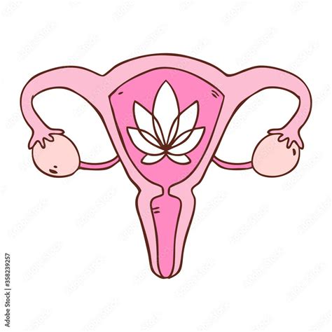 Vector Illustration In Cartoon Style With Beauty Female Reproductive