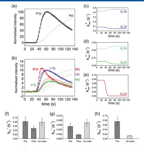 Figure 1 From Modeling Non Linear Kinetics Of Hyperpolarized 1 13 C