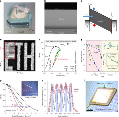 Stable Perovskite Single Crystal X Ray Imaging Detectors With Single