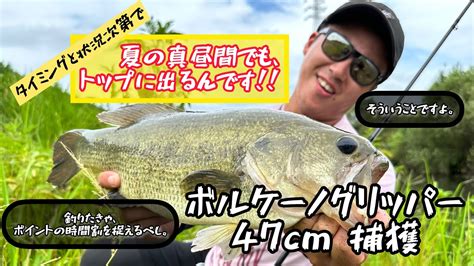 ワイルドジョーカーで真夏のバズベイトゲーム YouTube