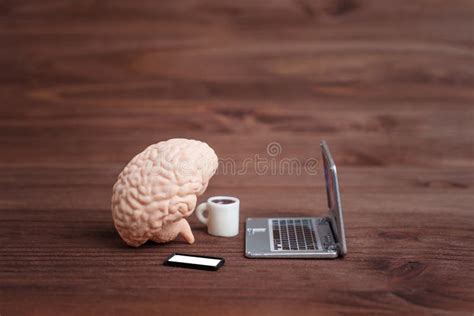 Human Brain Figurine Working On A Laptop Stock Photo Image Of