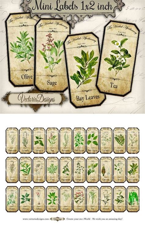 Mini Herbal Apothecary Labels Spice Jar Labels Herb Labels Potion