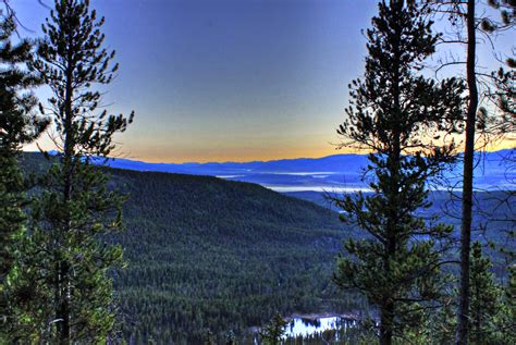 Dawn between the Trees at Mount Elbert, Colorado image - Free stock ...