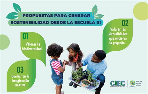 Propuestas Para Generar Sostenibilidad Desde La Escuela 3 521