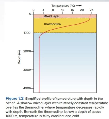 Ocean Circulation Flashcards Quizlet