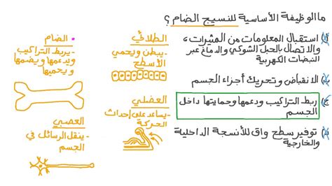 do an experiment depth before شكل النسيج الضام Too floating The beginning