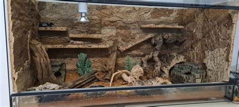 Korkr Ckwand Desert X Cm Terrarium R Ckwand Kaufen Korkrinde