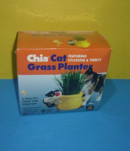 Sylvester And Tweety Looney Tunes Chia Cat Grass Planter Sealed New Ebay