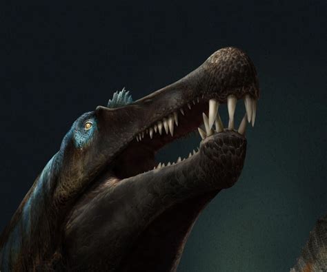 Groundbreaking Fossil Suggests Spinosaurus Is First Known Swimming Dinosaur