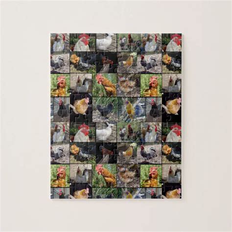 Chickens And Roosters Photo Collage Jigsaw Puzzle Zazzle