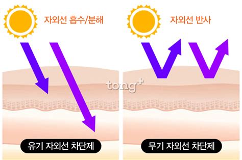 유기 무기 제대로 알고 쓰자 ‘자외선 차단제 상식 2 디지틀조선일보 디조닷컴