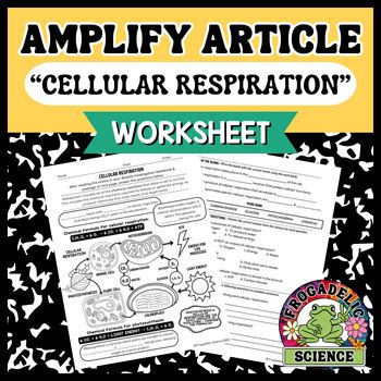 Amplify Metabolism Unit Cellular Respiration Article Worksheet