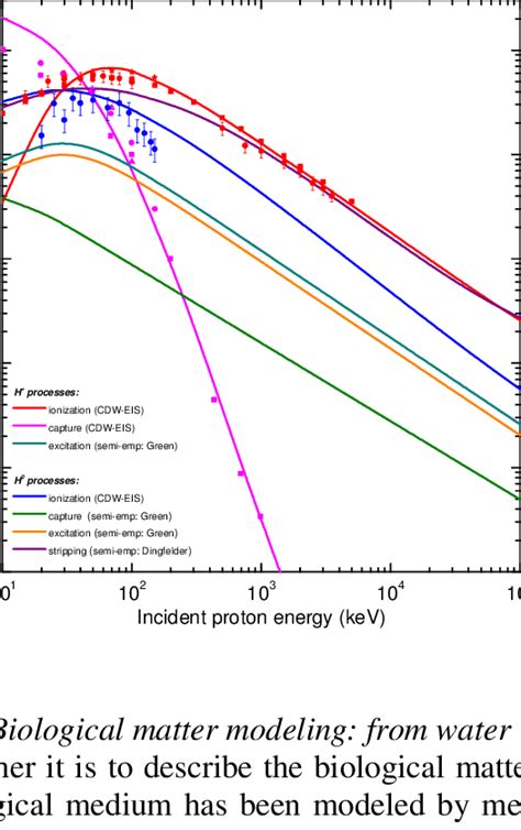 Color Online Total Cross Sections For Proton Hydrogen Induced