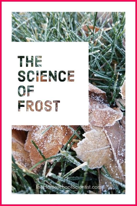 The Science Of Frost With Homeschool Science Experiments