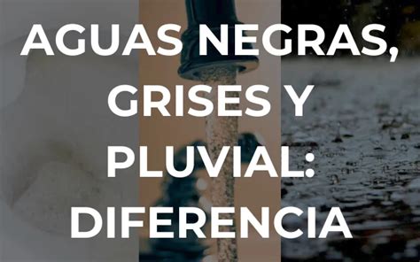 Qu Diferencia Hay Entre Las Aguas Negras Grises Y Pluviales H