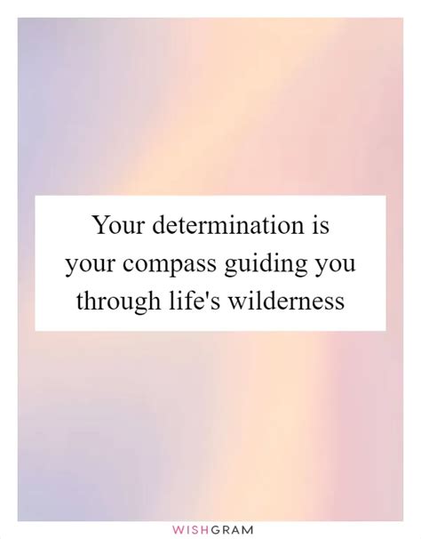 Your Determination Is Your Compass Guiding You Through Life S