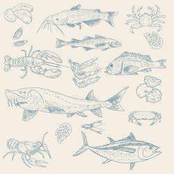 Seafood And Fish In Vintage Style Royalty Free Vector Image