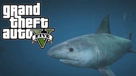 Gta V Play As A Shark Easter Egg Location Gta V Next Gen Youtube