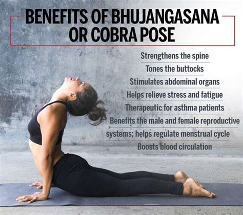 Yoga Bhujangasana Or Cobra Pose And Its Health Benefits