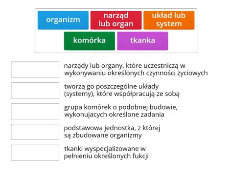 Poziomy Budowy Organizmu Po Cz W Pary