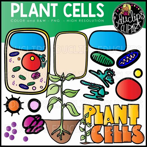 cells clip art 2