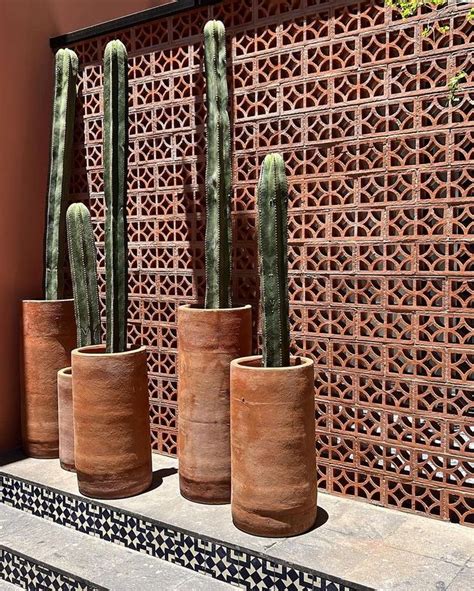 Pin By Dan Pinson On Garden Mexican Home Decor Mexican Home