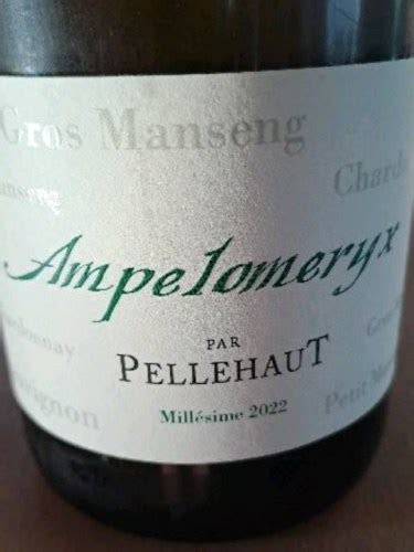 Domaine De Pellehaut Ampelomeryx Gros Manseng Vivino France