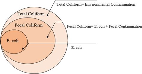 Different groups of coliform bacteria | Download Scientific Diagram